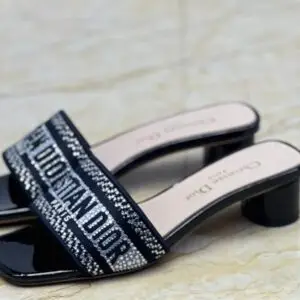 Christian Dior Embroidered Dway Heeled Sandal