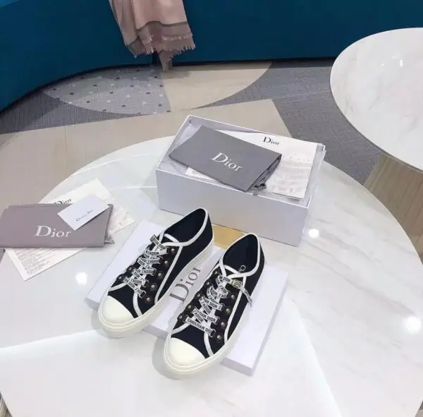 DIOR Embroidered Canvas Shoes