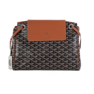 Goyard Louette Bag