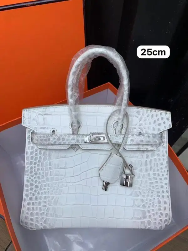 HERMES Leather Platinum Bag