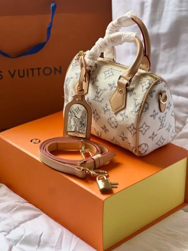 Louis Vuitton Micro Speedy Bag