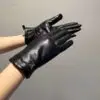 LOUIS VUITTON Leather Gloves
