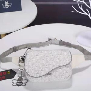 DIOR Saddle Belt Bag