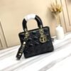 Dior Caro Mini Bag