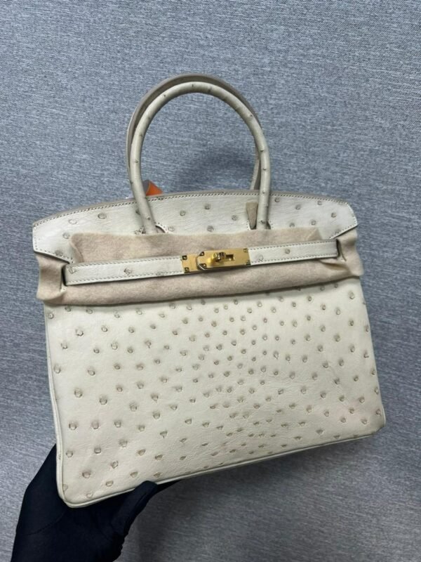 HERMES Birkin Bag